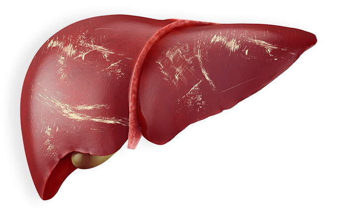 Real Liver Color BlueHealth